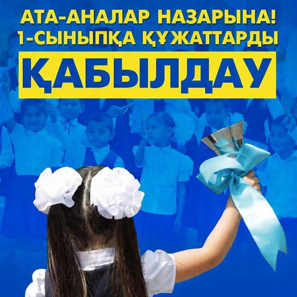 WhatsApp Image 2026 04 08 at 11.28.43